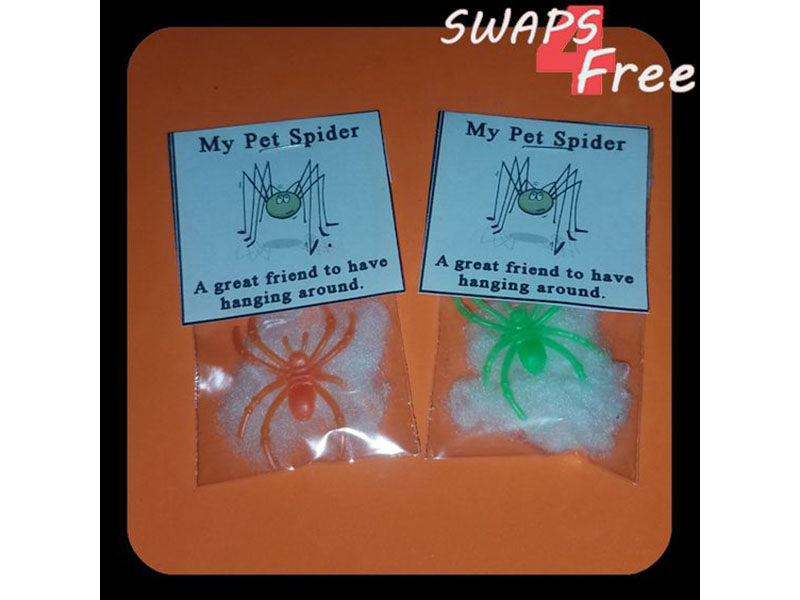 girl scout fall and pet spider swaps