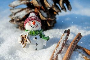 girl scout winter and christmas swaps ideas